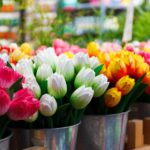 Si vous êtes à la recherches de tulipes, bulbes, fleurs et souvenirs, le marché aux fleurs est l'endroit idéal pour vous en procurer. Il ya de nombreux fleuristes sur des péniches et les prix sont assez corrects. (7)